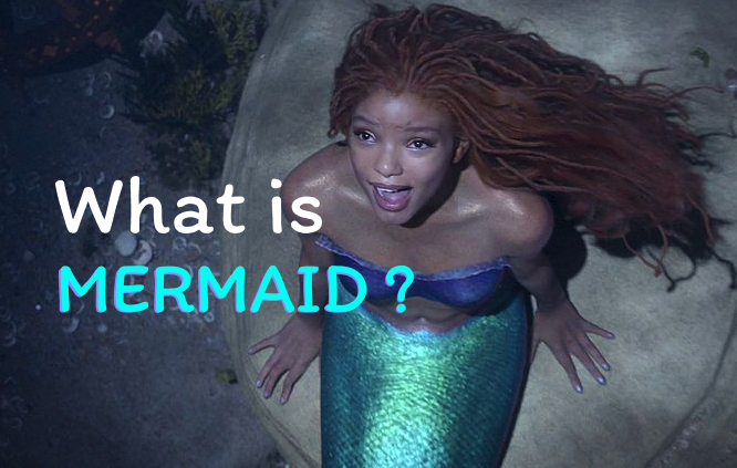 What is MERMAID ?