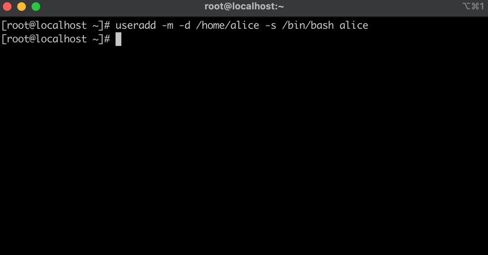How to grant enough permission for developer on Bastion Host