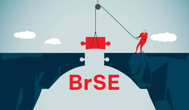 BrSEとは？