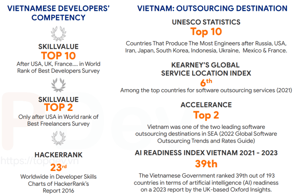 vietnamese_developers_competency_2024-2025